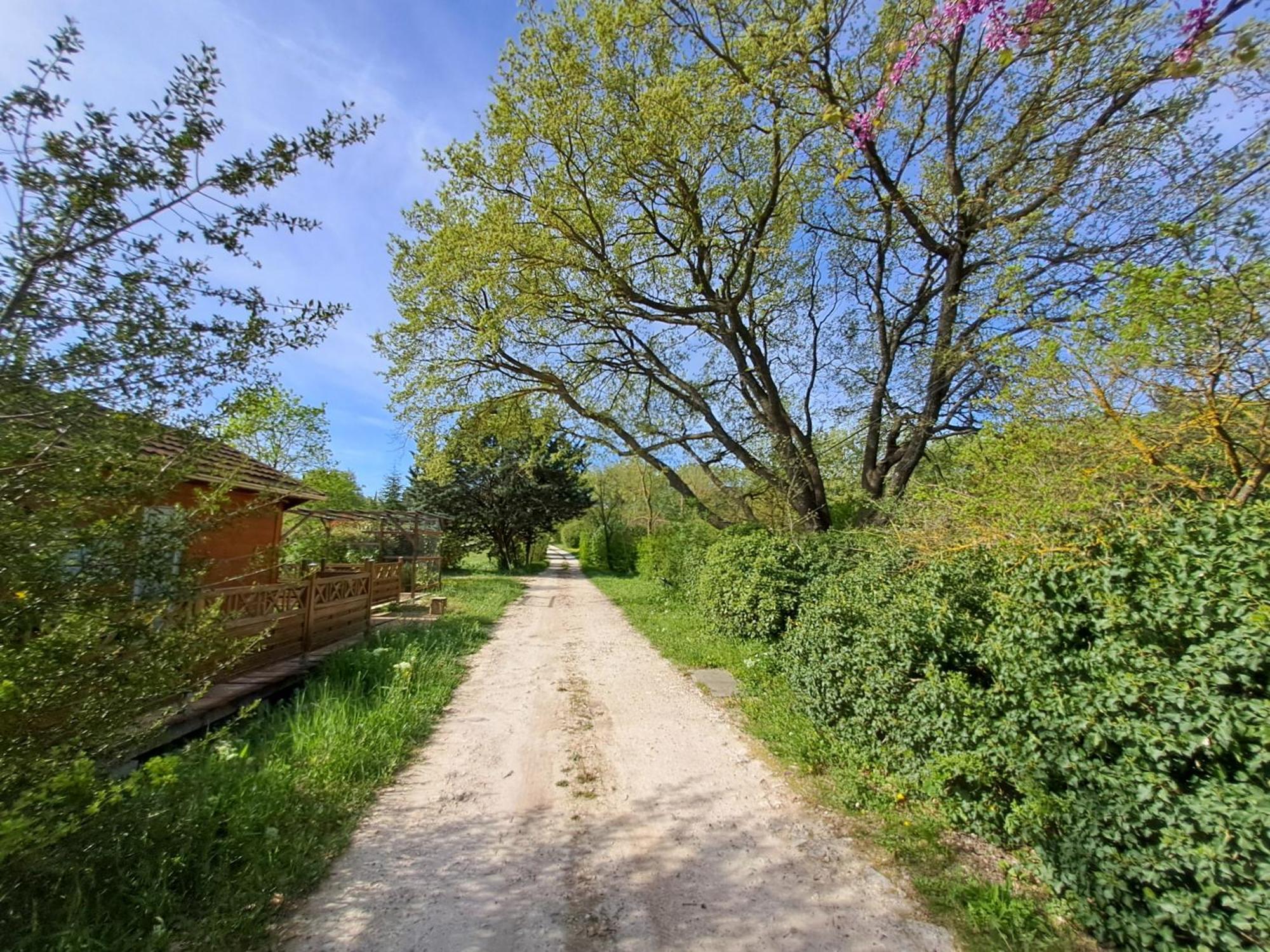 Villa Aix-En-Provence Eksteriør bilde